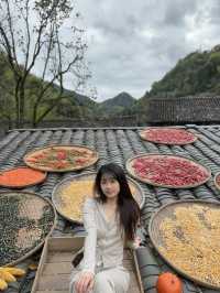 溫州「小婺源」，人生建議看一次曬秋吧