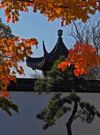 打卡濱江森林公園滈園