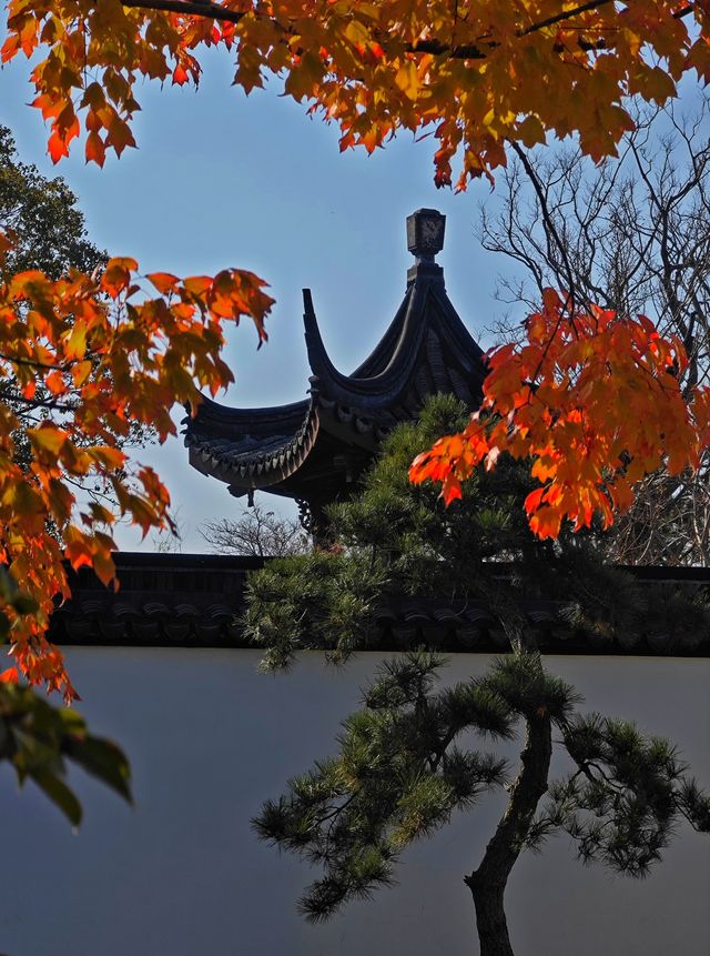 打卡濱江森林公園滈園