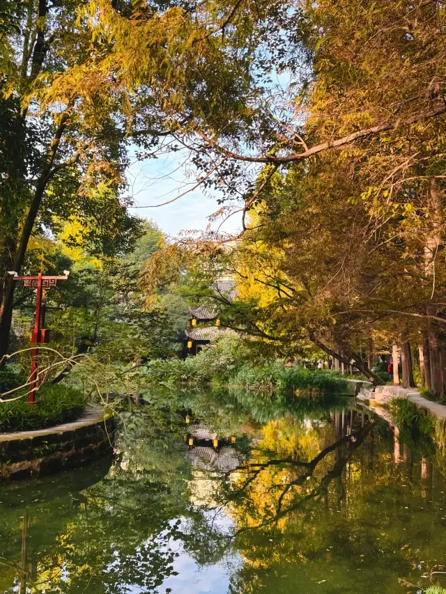 Chengdu 1h | See ginkgo trees and visit ancient towns in Chongzhou for 1 day! 