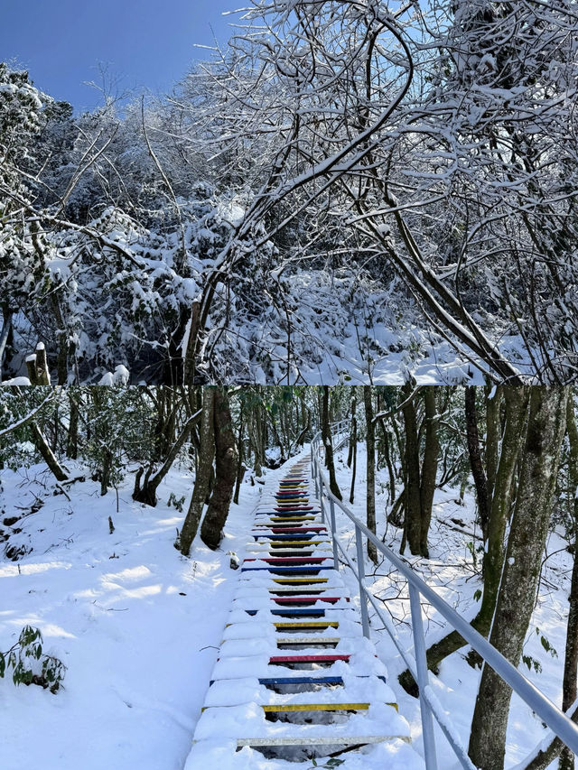 成都周邊一小時就可以看雪啦