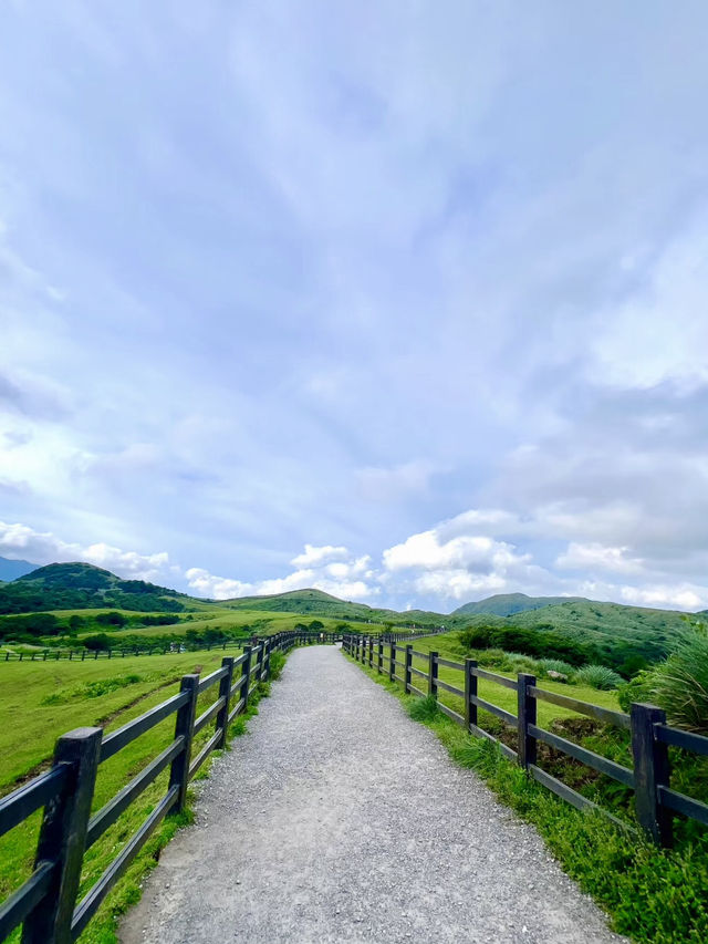 高山綠意與城市光影：擎天崗的自然探索與台北風情