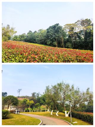 Oasis in the City - Jiangjiayan Firefighting Theme Park
