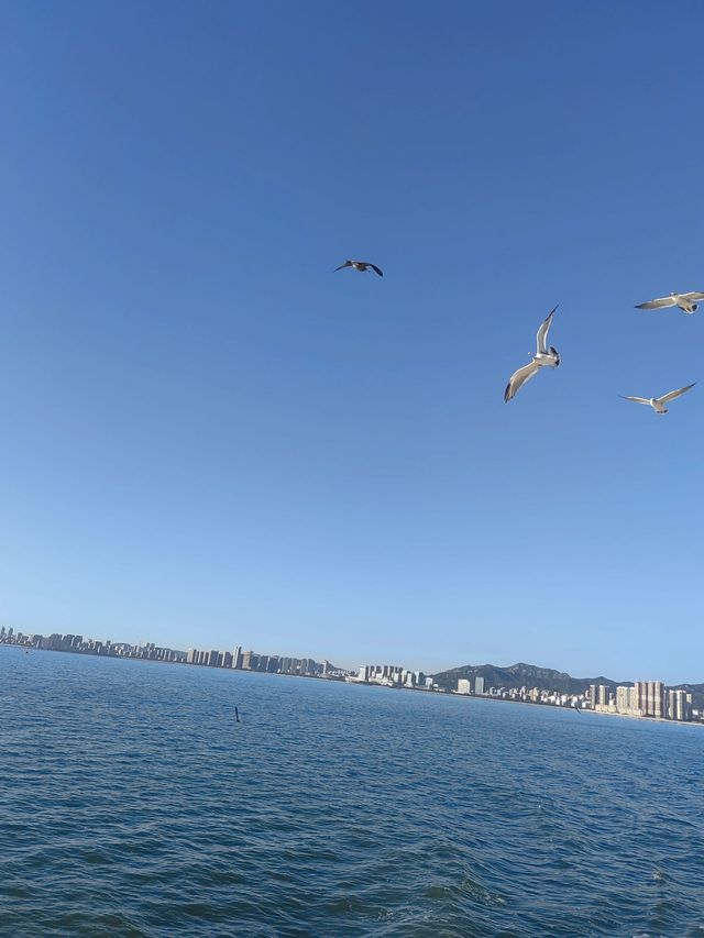 威海親子遊超全攻略好玩不貴別錯過