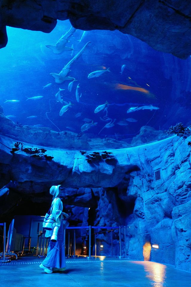 Experience the Romance of Hong Kong's Ocean Park