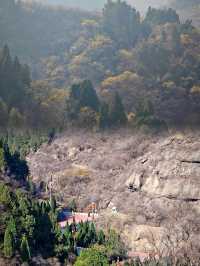 濱州·鶴伴山｜雲遊鶴伴山，心棲自然間