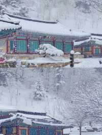 平昌郡：自然與人文共舞的韓式綺夢