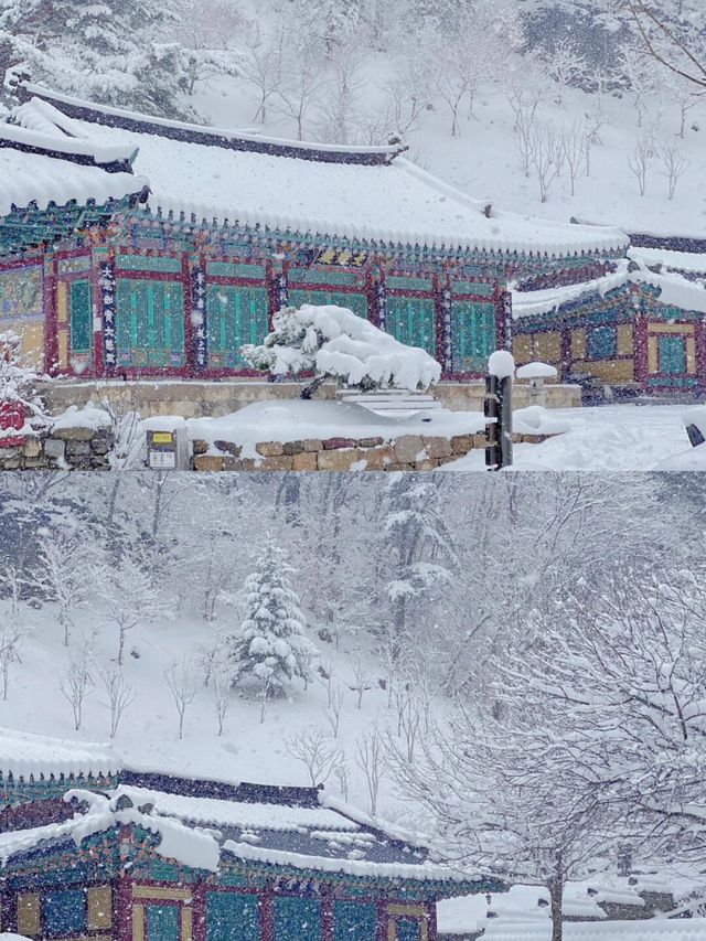 平昌郡：自然與人文共舞的韓式綺夢