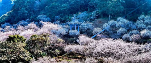 石門國家森林公園