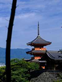 春節去日本 5天暢玩攻略來啦