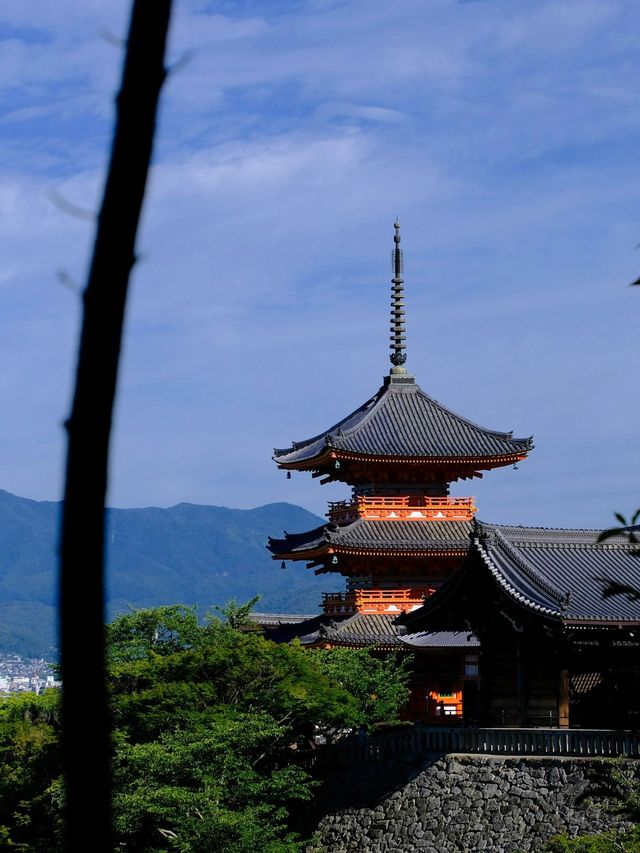 春節去日本 5天暢玩攻略來啦