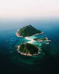 體驗蘇梅島潛水｜邂逅夢幻海底世界