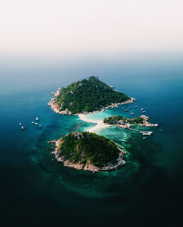 體驗蘇梅島潛水｜邂逅夢幻海底世界
