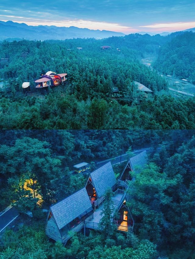 黃山旅遊打卡黃山森林中的童話精靈樹屋