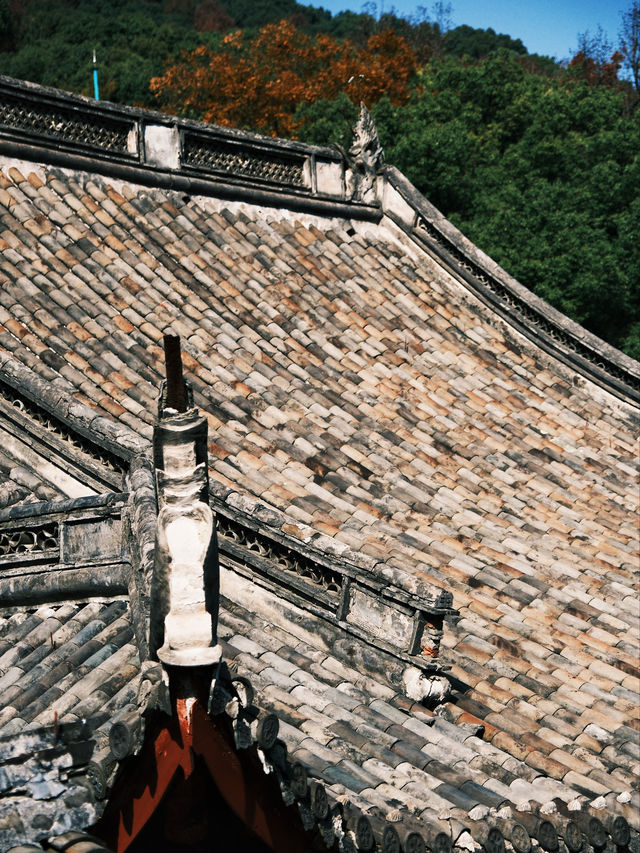 寧波保國寺：被困在這裡的大宋記憶