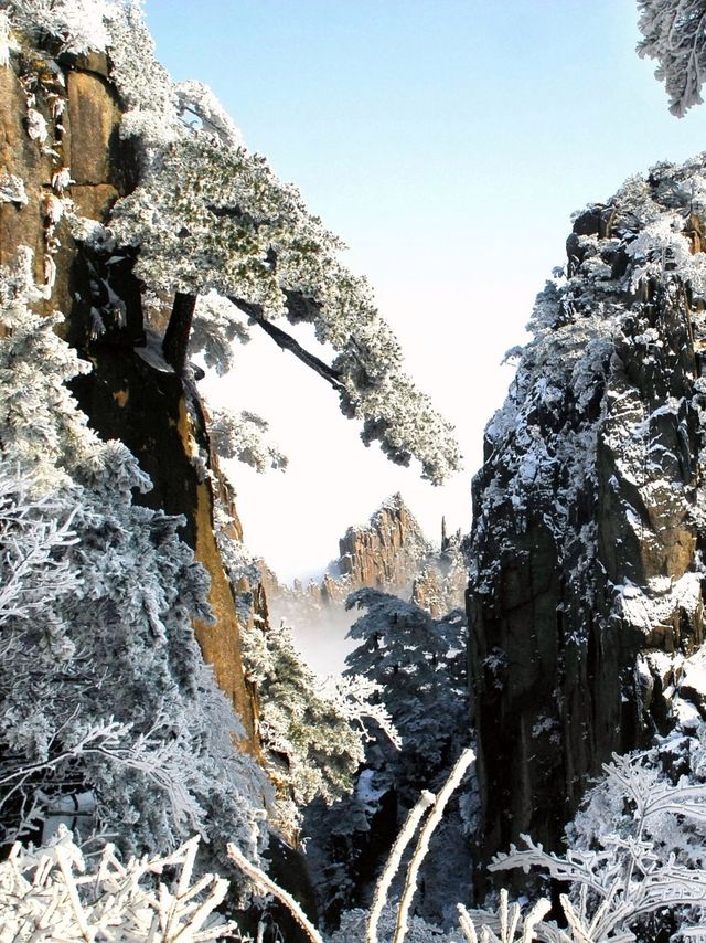 春節爬黃山路線攻略！不走回頭路