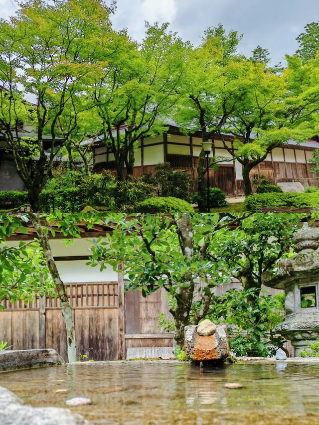 日本小松：工程機械行業的佼佼者
