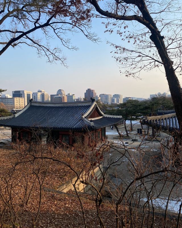 首爾小眾寶藏地：昌慶宮漫步