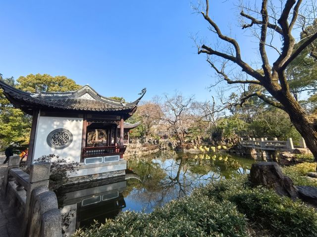 蛇年初七，邂逅古猗園的歲朝雅韻