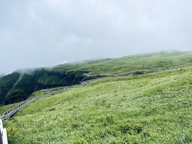 雨霧中的阿西里西韭菜花坪，不用濾鏡就能拍出的山水畫