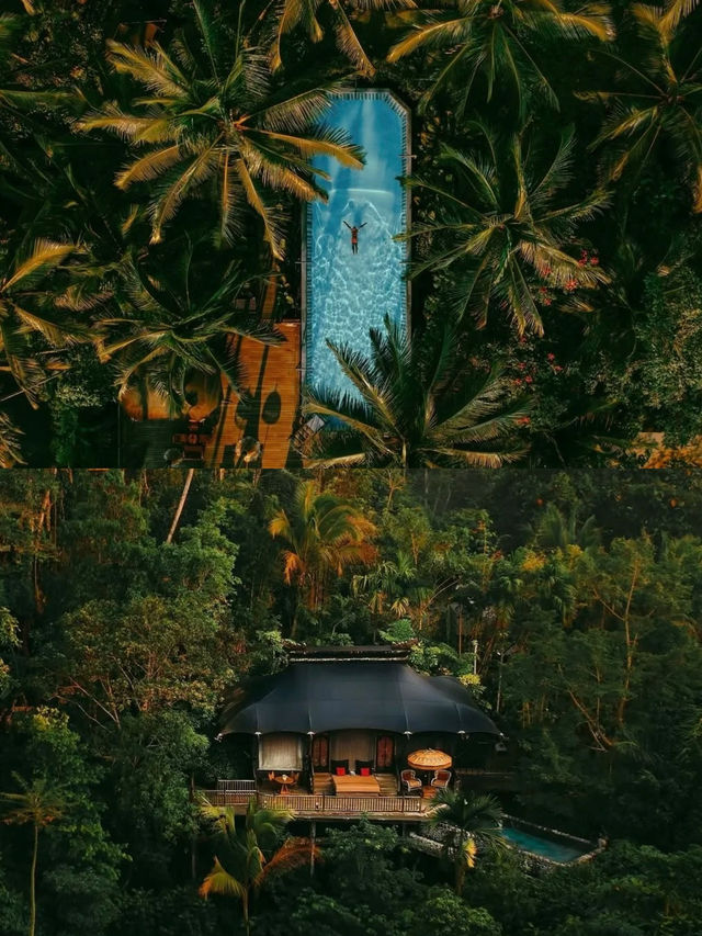 不愧是叢林野奢！馬布嘉佩樂已經nextlevel...
