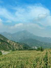 北靈山爬不膩，北京小「阿勒泰」名不虛傳