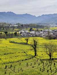 寒假黃山5日遊 美景盡收眼底