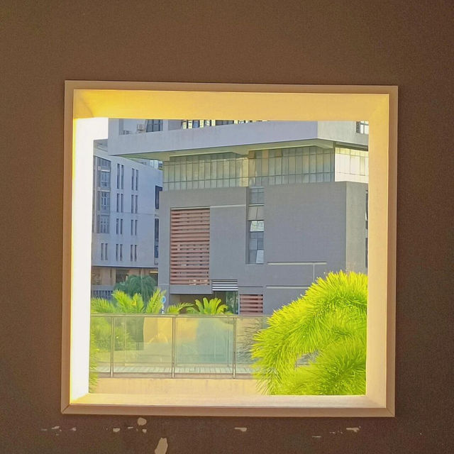 🏫深圳大學，我的夢中情校🥰