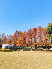 廈門南湖公園四季五彩繽紛，休閒好地方！
