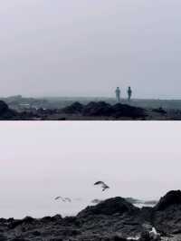 韓國旅行丨開滿了海棠花的安眠島也太美了