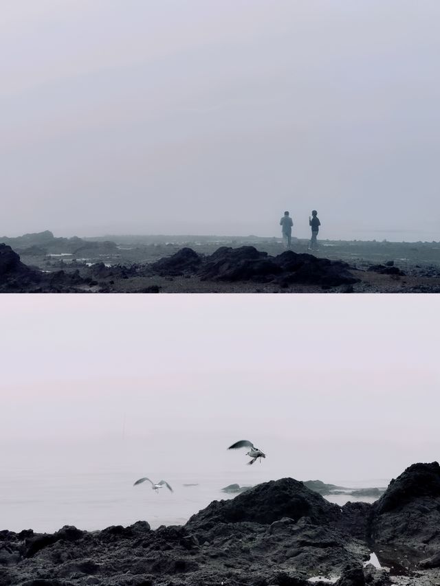 韓國旅行丨開滿了海棠花的安眠島也太美了