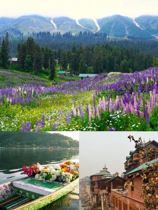 Srinagar Travel Tips, Are You Ready?