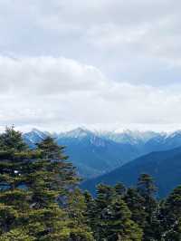 林芝3日暢遊 超詳細攻略助你玩得盡興