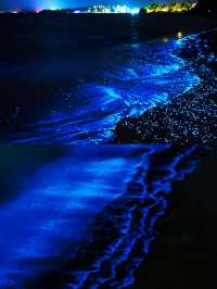 天津海邊藍眼淚,睇呢篇攻略就夠晒🫶🩷