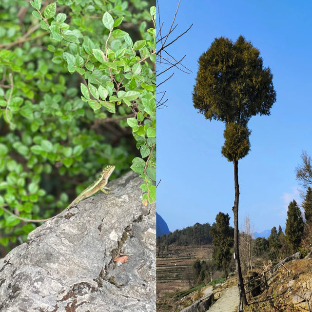 邂逅秭歸鷹嘴岩，解鎖絕美峽江風光