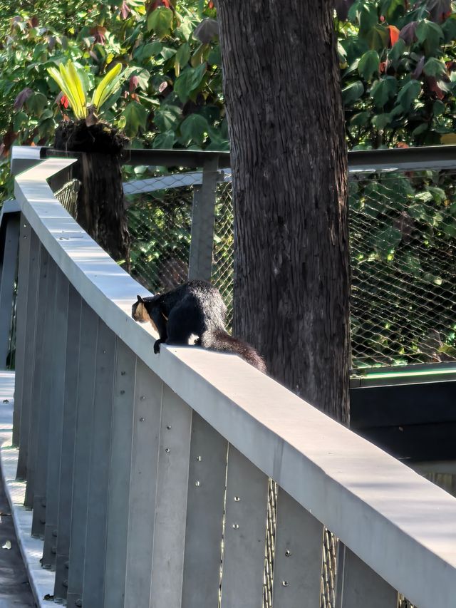 景點地址：檳城升旗山 升旗山森林公園 檳城極樂寺