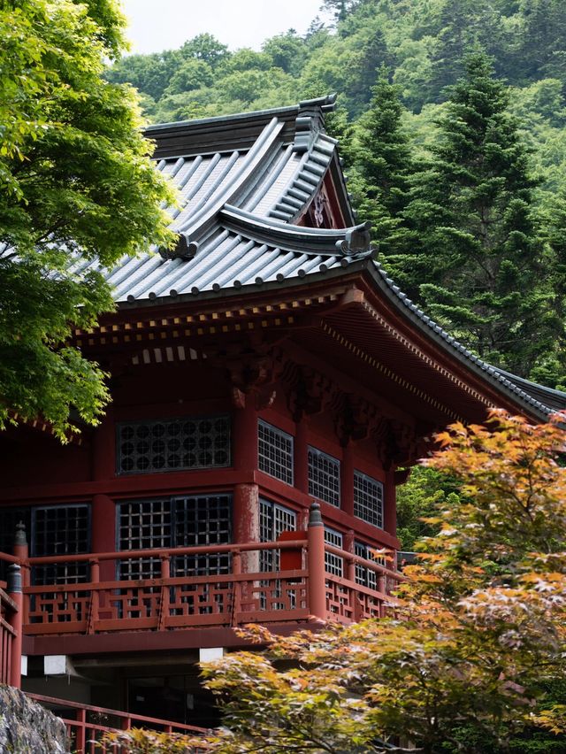 日本值得期待的麗思卡爾頓，藏在日光的山林間