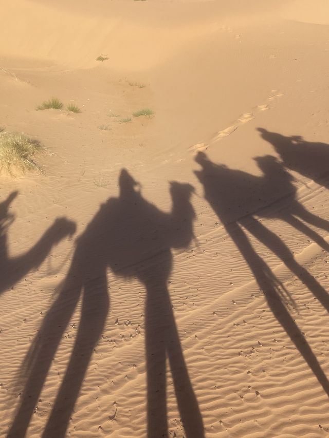 摩洛哥免簽證啦！老年人遊玩攻略快收藏