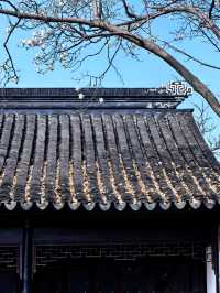 玉蘭映雙塔，春色落滿園。