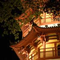 深圳龍華公園 | 夜間漫步的光影之境