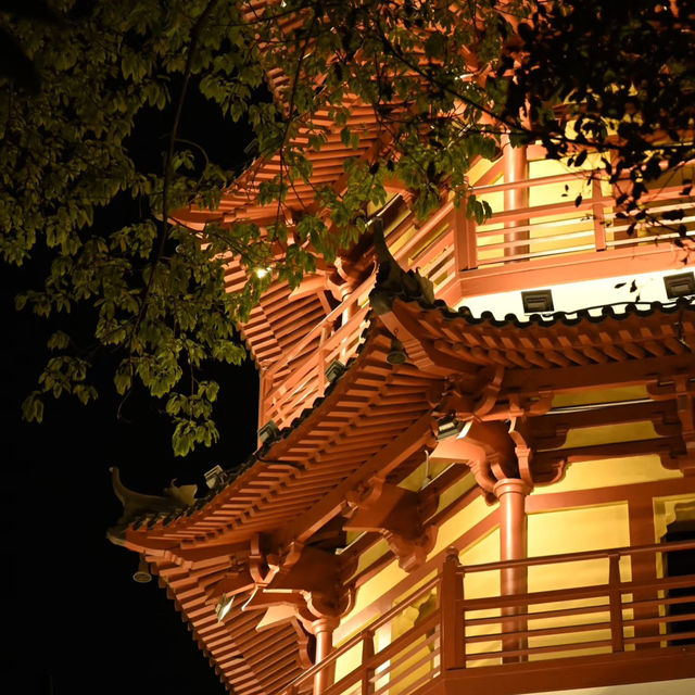 深圳龍華公園 | 夜間漫步的光影之境