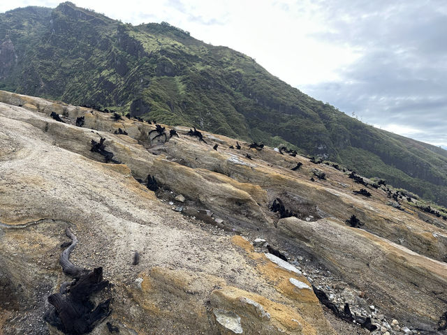 念念不忘，必有迴響-徒步伊真火山