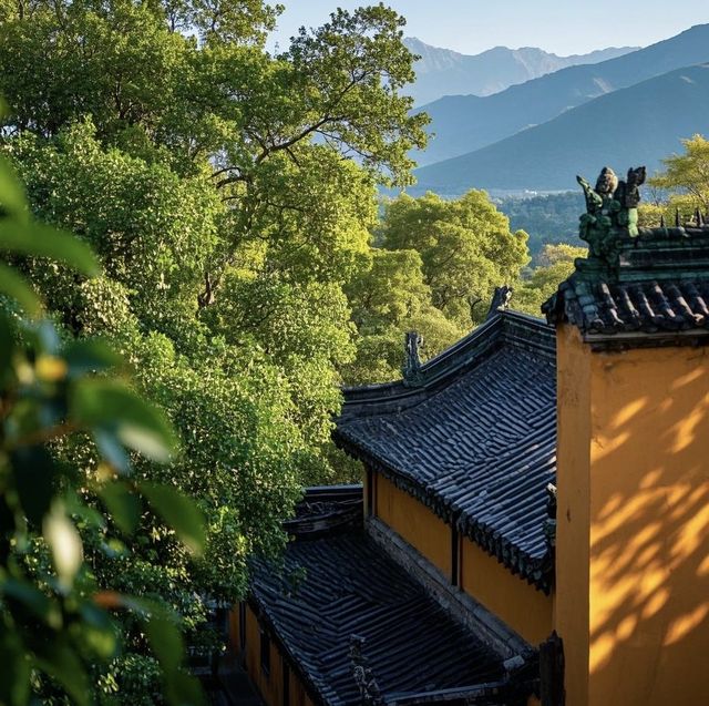 阿育王寺：寧波的佛門聖地之旅