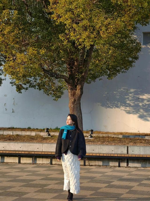 神戶有咩好玩？呢個咪就係青島囉⋯“