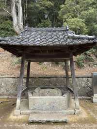 遠敷神社：奈良的隱藏瑰寶⛩️🌸