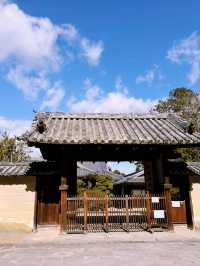 興福寺：奈良古都的靈魂所在