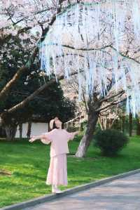 不輸櫻園武大！武漢這個賞櫻公園美翻了！
