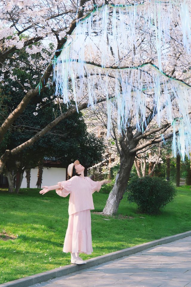 不輸櫻園武大！武漢這個賞櫻公園美翻了！