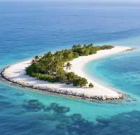 達曼珊瑚島：沙特阿拉伯的海濱明珠之旅