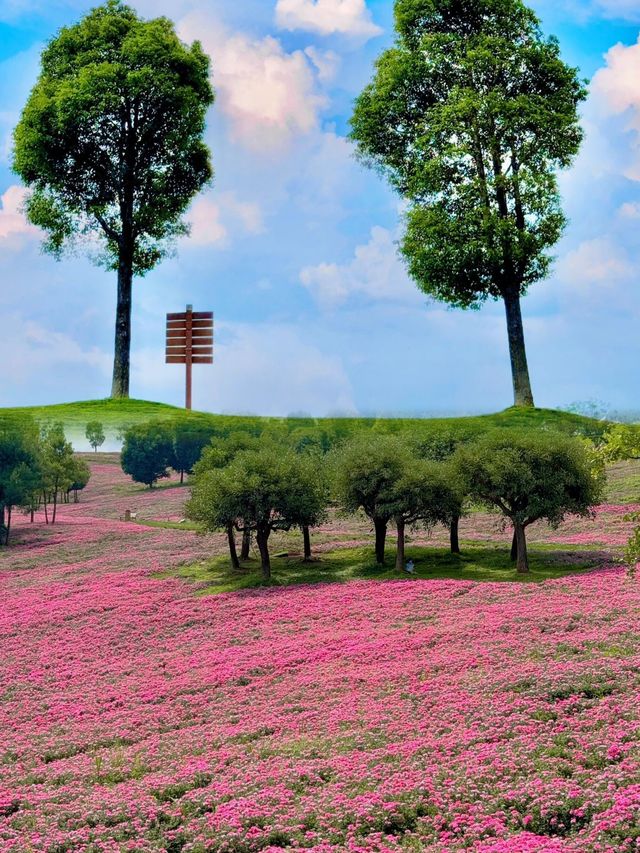 旅行的路上，看萬物都可愛。